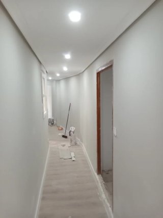 Pintor profesional económico