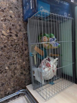 Jaula para Conejo o Cobaya