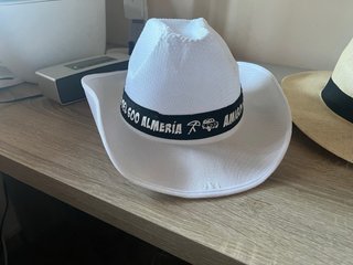 Lote 2 Sombreros Verano