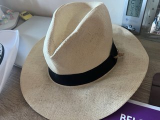 Lote 2 Sombreros Verano
