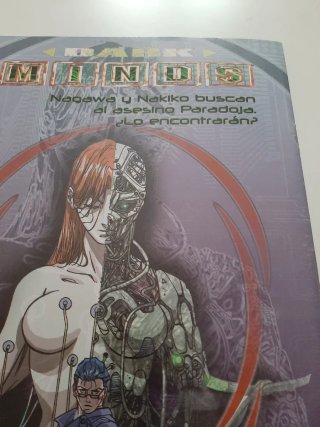 Marvel Knights Punisher número 6 comic Forum