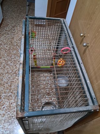 Jaula grande para loro