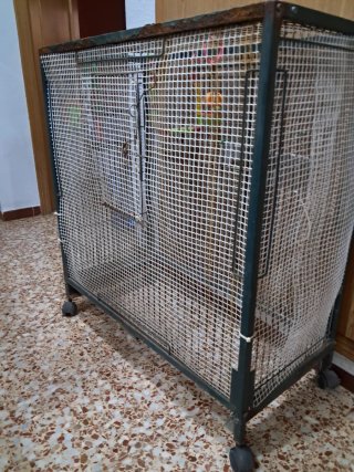 Jaula grande para loro