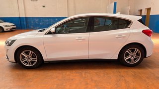 FORD FOCUS 1.5 Ecoblue Trend+ 120cv