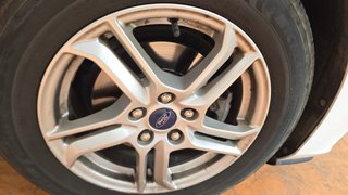 FORD FOCUS 1.5 Ecoblue Trend+ 120cv