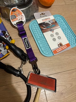 Lote productos para perro: Snacks, collar, cepillo