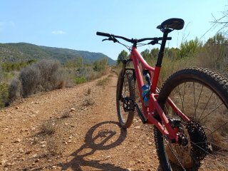 Specialized Stumpjumper Alloy 2023