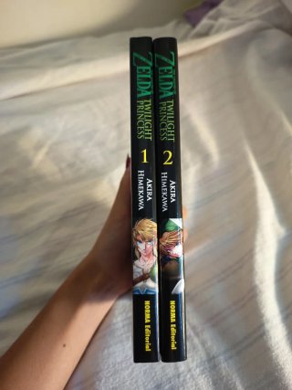 Mangas de zelda y the ancient magus bride