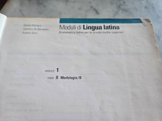 Moduli di lingua latina per le scuole superiori