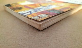 Los romanos. Libro