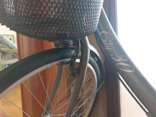 Bicicleta urbana con cesta y portabultos