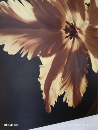 Lienzo Flor Beige y Marrón