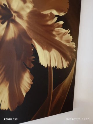 Lienzo Flor Beige y Marrón