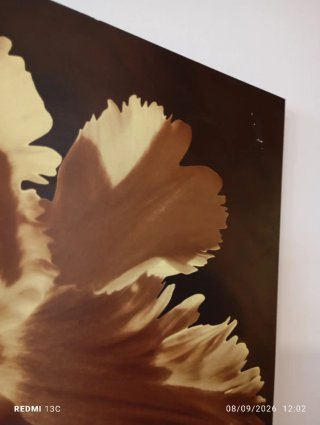Lienzo Flor Beige y Marrón