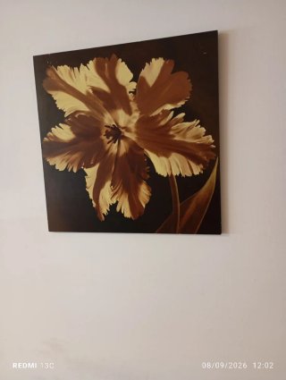Lienzo Flor Beige y Marrón