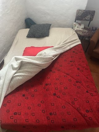 Sofá Cama Beige con Cojines