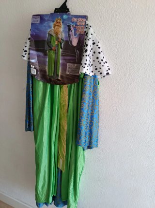 Disfraz Rey Mago Verde Talla Única BT Costumes