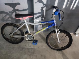 Bicicleta Daytona New Line
