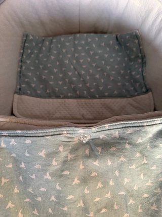 Cochecito Uppababy Cruz V2