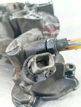 ENFRIADOR ACEITE MOTOR Renault Trafic III Combi (08.2014->)