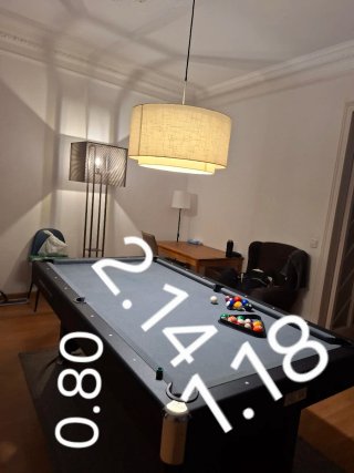Mesa de billar profesional