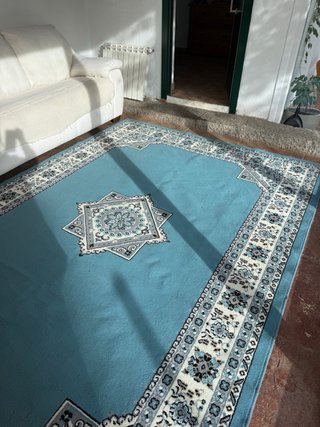 Alfombra turquesa con diseño clásico