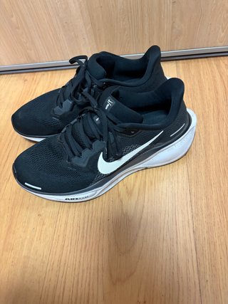 Zapatilla Nike Pegasus 41