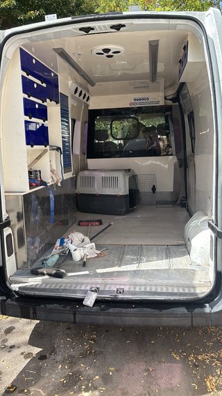 Renault master