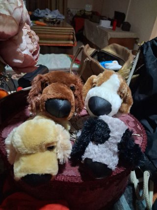 Lote 4 Perritos Peluche Colección