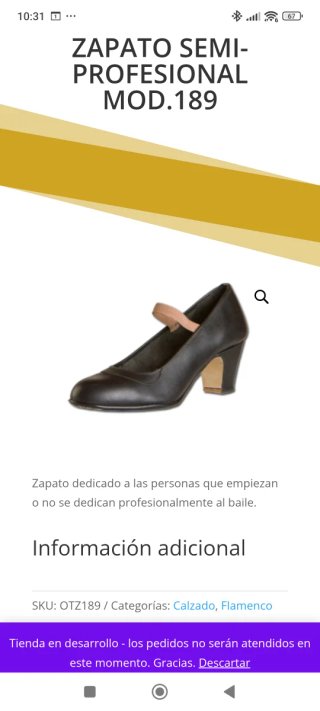 Zapatos Flamenco Conservatorio Granada T.35
