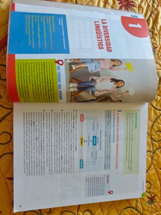 Lengua castellana y literatura 2 Bachillerato