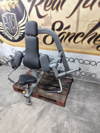 Máquina de Bíceps Palanca