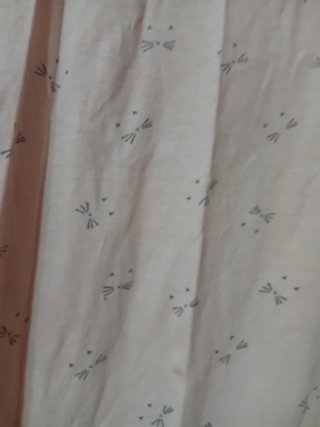 Camisón