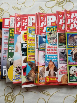 17 revistas varios títulos
