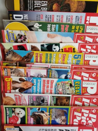 17 revistas varios títulos