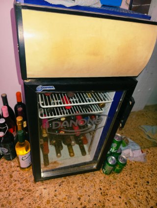Nevera pequeña Danone