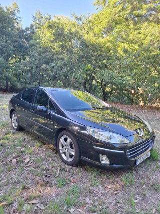 Peugeot 407 2005