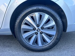 Skoda Superb 2.0 TDI DSG7 150CV