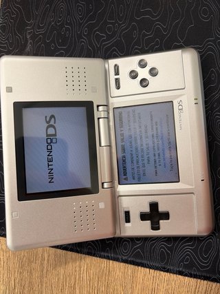 Nintendo DS FAT