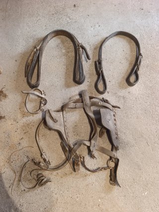 Collerón antiguo de cuero para animales