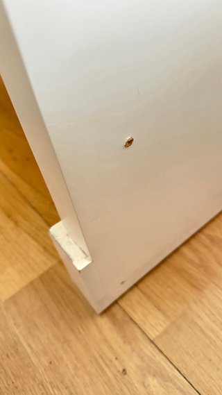 Mesa escritorio blanca con cajoneras