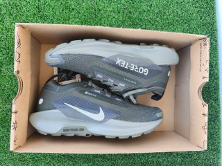 Nike Pegasus Trail 5 Gore-Tex Verde Oliva