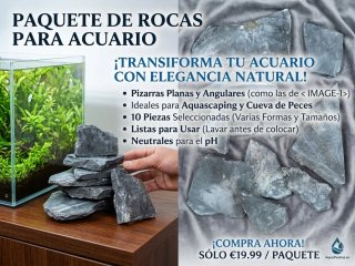 Lote 10 Rocas para Acuario