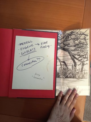 libro stranger things mundos del revés