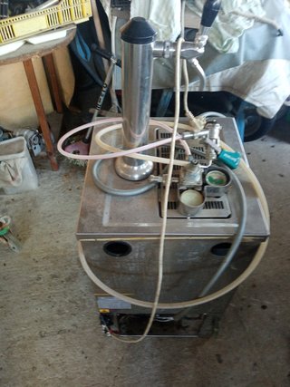 Grifo de Cerveza