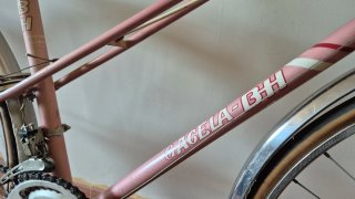Bicicleta BH Antigua Vintage Rosa