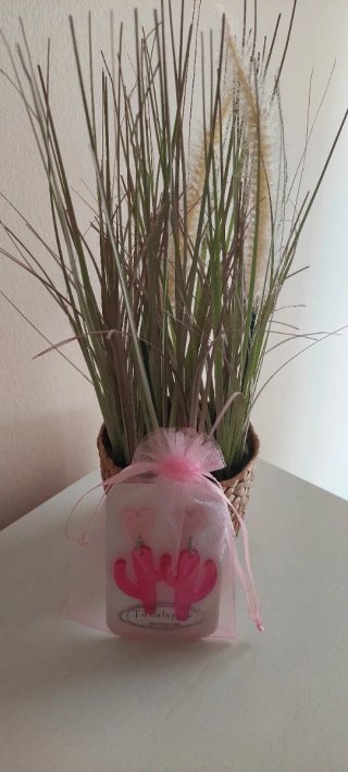 Pendientes cactus y corazón rosa sin estrenar.