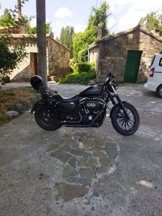 Harley Davidson Sportster Iron 883