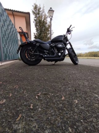 Harley Davidson Sportster Iron 883