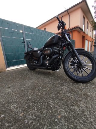 Harley Davidson Sportster Iron 883
